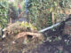 Igelhaus bauen: Ein Igelhaus mit Gras und Laub.