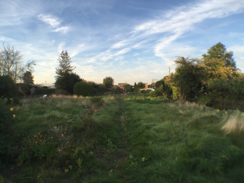 Blick in einen Kleingarten in Hamburg.