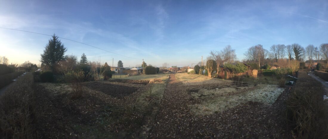 Kleingarten mit frisch angelegten Beeten und Wegen aus Rindenmulch.