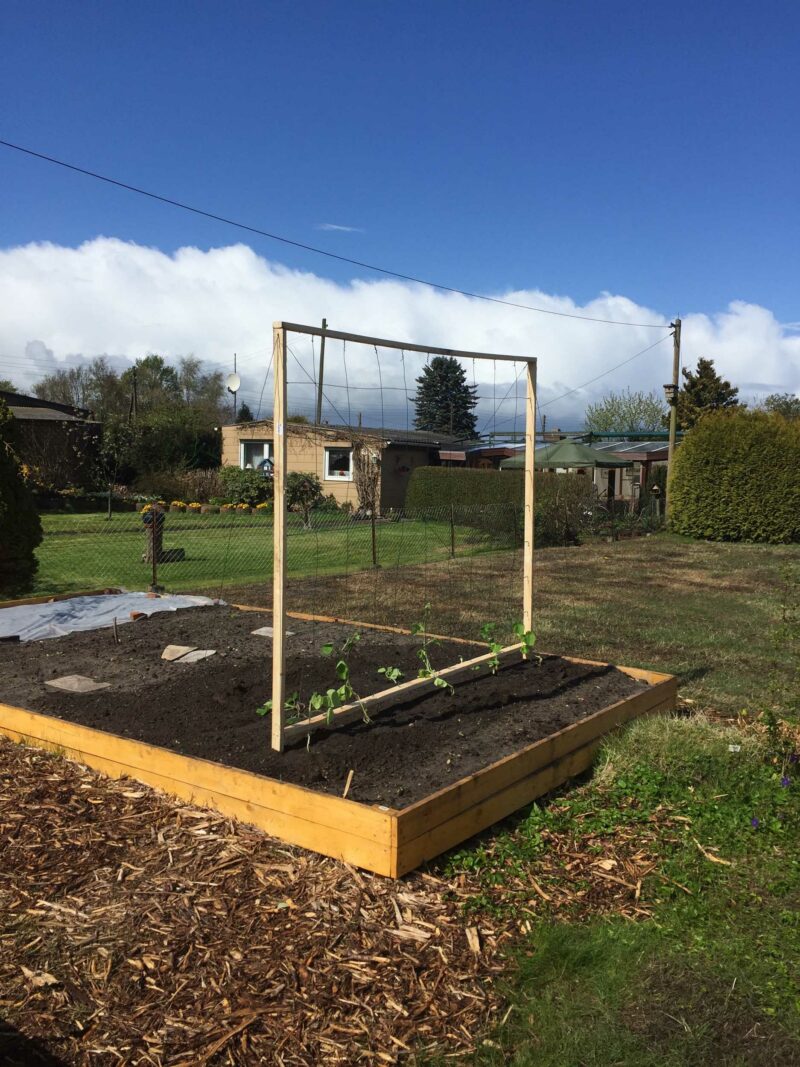 Eine Rankhilfe aus Holz und Draht steht in einem Beet.