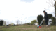 Das GIF zeigt eine schwarz gekleidete Frau beim Einsäen von Rasen, sie schiebt einen Saatwagen von rechts nach links über eine Rasenfläche.