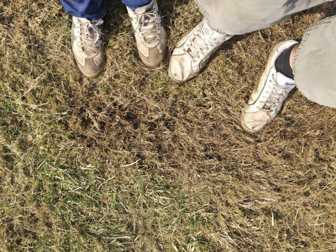 Zwei Menschen stehen auf einem Stück Rasen, das sehr vertrocknet und vermoost aussieht – man sieht nur ihre Schuhe und einen Teil ihrer Beine.