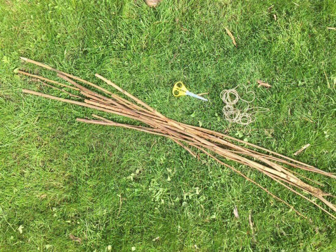 Zweige, Band und eine Schere: Dinge, die man für eine Rankhilfe aus Zweigen benötigt.