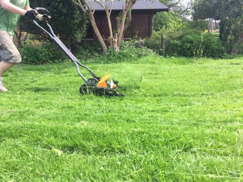 Ein Mann schiebt einen Spindelrasenmäher über einen Rasen.