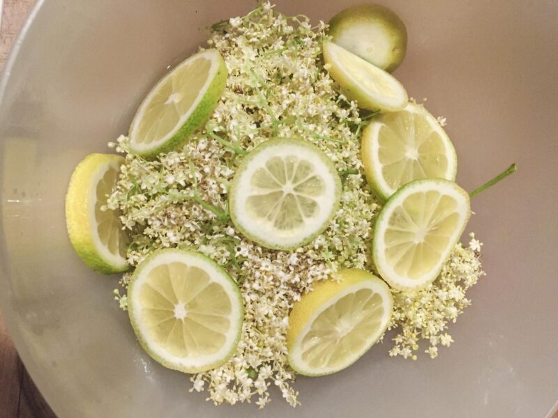 Holunderblütengelee: Zitronen und Holundeblüten liegen zusammen in einer Schüssel.
