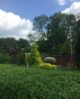 Baum-und-Pferd-Garten: Hinter einer Hecke steht ein Baum in Pferdeform.
