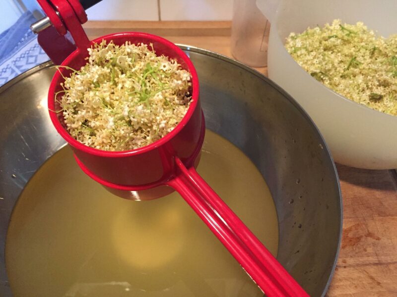 Eine Handvoll Holunderblüten wird durch eine Spätzlespresse gedrückt, um mehr Sud zu erhalten.