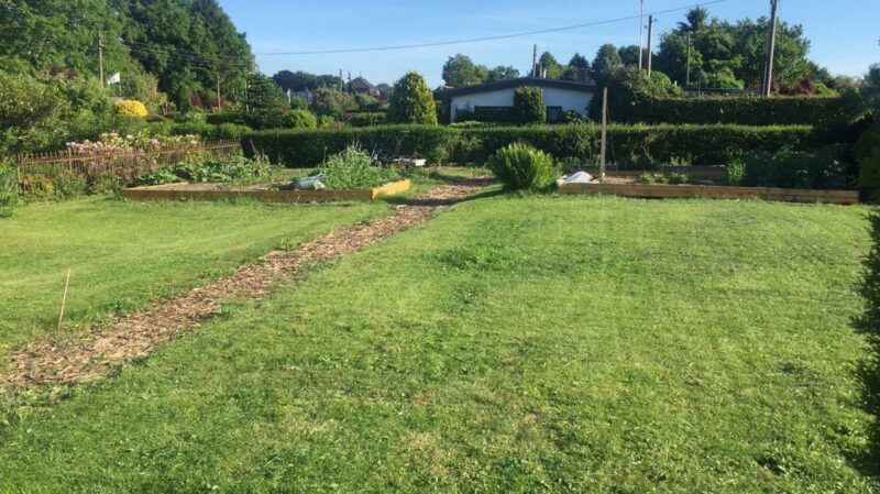 Blick in den Kleingartenverein Stadion in Hamburg.