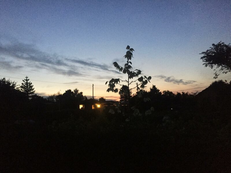Abendhimmel im Schrebergarten im August.