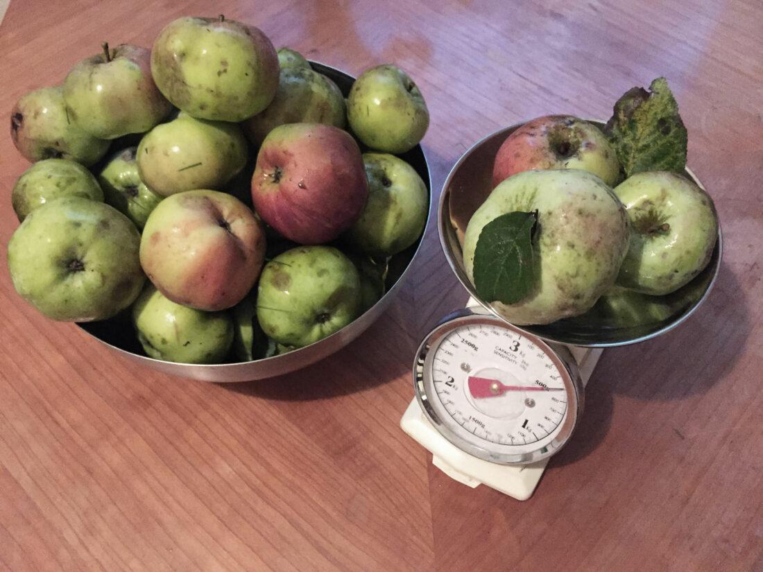 Apfelbaum kaufen für reiche Ernte: Eine Schüssel mit unzähligen Äpfeln steht neben einer Waage im Retrostil mit drei Äpfeln, die 600 Gramm anzeigt, auf einem Holztisch