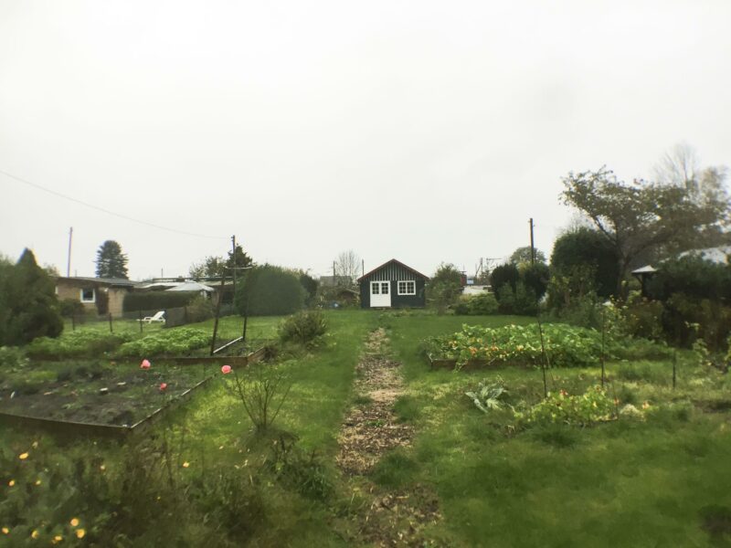 Blick in den Novembergarten.