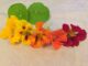 Fünf Blüten der Kapuzinerkresse liegen der Farbe nach geordnet auf einem weißen Papier, von gelb über orange bis rot.