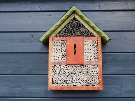 Eine Idee für Garten-Geschenke: ein Insektenhotel in Orange und Grün an einer Hüttenwand