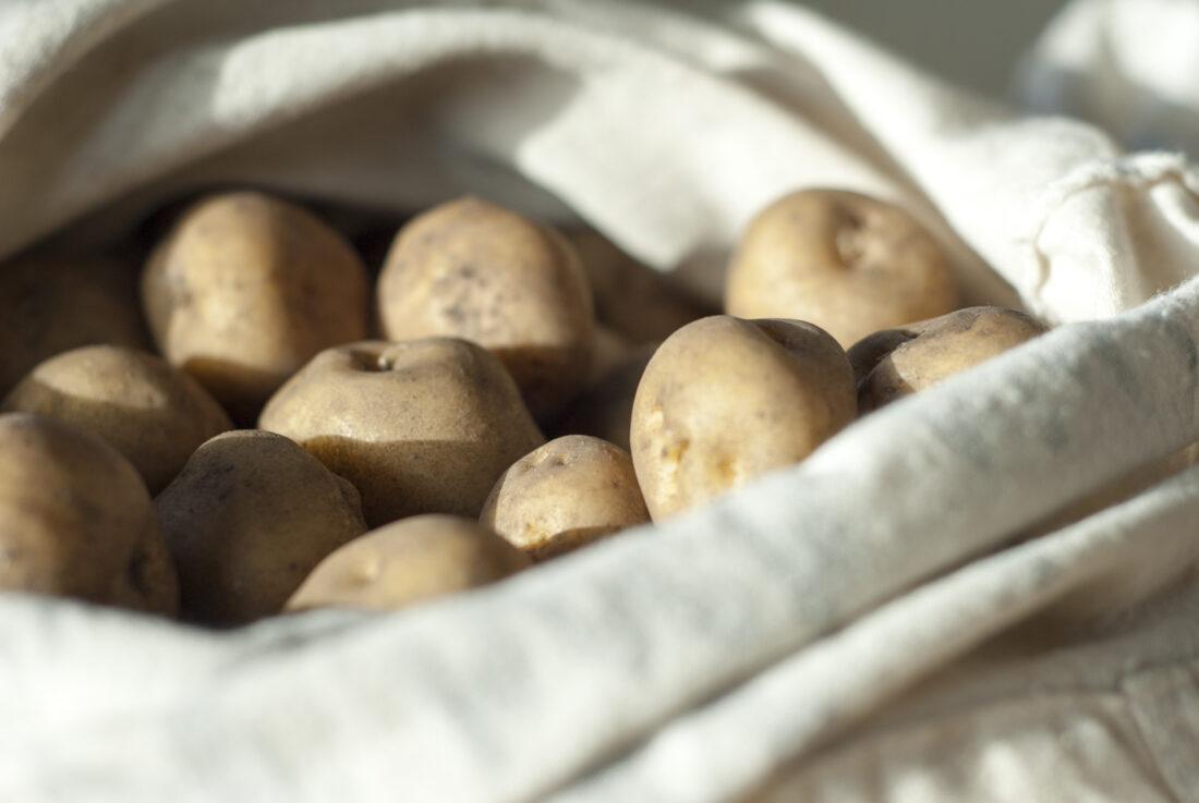 Close-up von Saatkartoffeln, auf denen Augen zu erkennen sind.