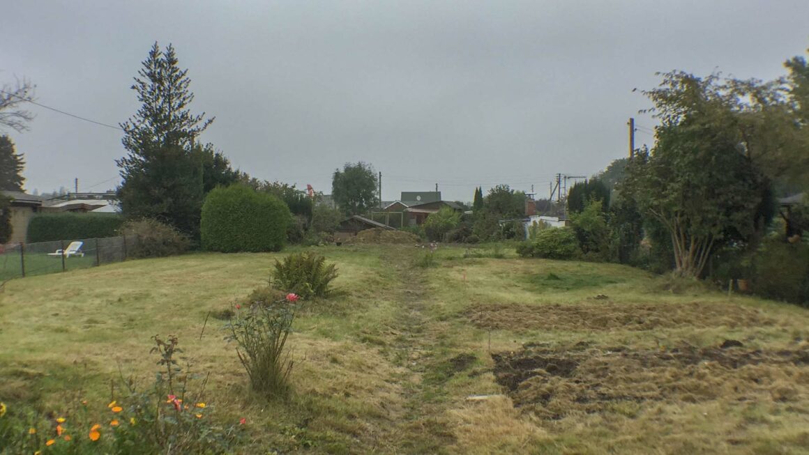 Blick in den Garten – Kleingarten Hamburg – Der Rasen ist gemäht und die ersten Beete umgegraben