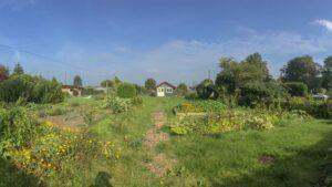 Blick in den Garten – Kleingarten Hamburg – Die Hütte ist nun fast fertig gestrichen