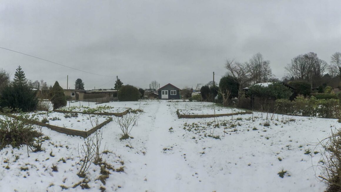 Blick in den Garten – Kleingarten Hamburg – Winter und es liegt Schnee