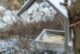 Vögel füttern: Ein Vogelfutterhaus mit Nüssen hängt in einem winterlichen Fliederbusch. 
