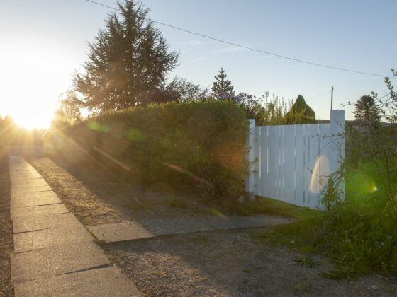 Gartentor selber bauen: Unser selbstgebautes Gartentor im Sonnenuntergang.