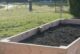 Hochbeet befüllen, Schicht 5: Ein Hochbeet aus Douglasienholz, in das Mutterboden gefüllt wurde.