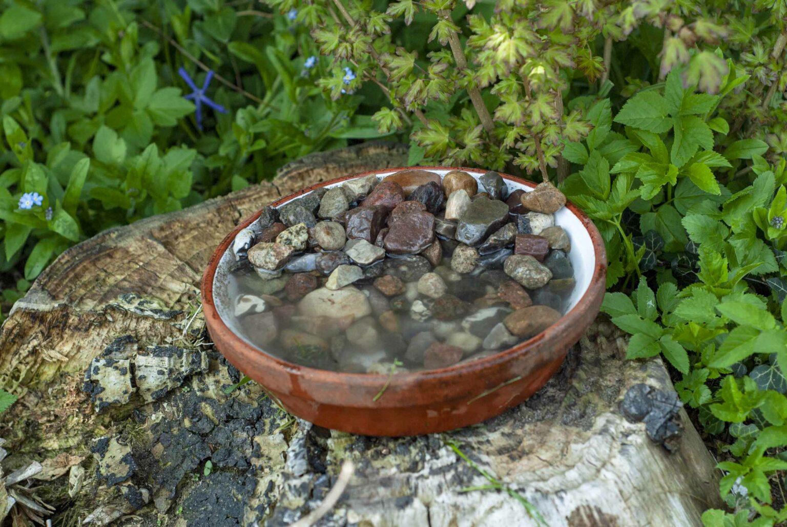 8er-Set Insektentränke – Bunte Bienen- & Schmetterlings-Wasserstation Aus Harz Für Garten, Balkon & Terrasse