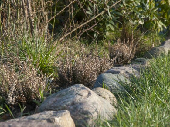 Beeteinfassungen Ideen: Nahaufnahme eines Blumenbeetes, das mit Natursteinen eingefasst ist.