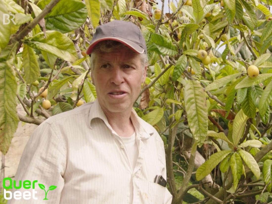 Gartensendungen Was Suchtet Ihr So Ein Stuck Arbeit