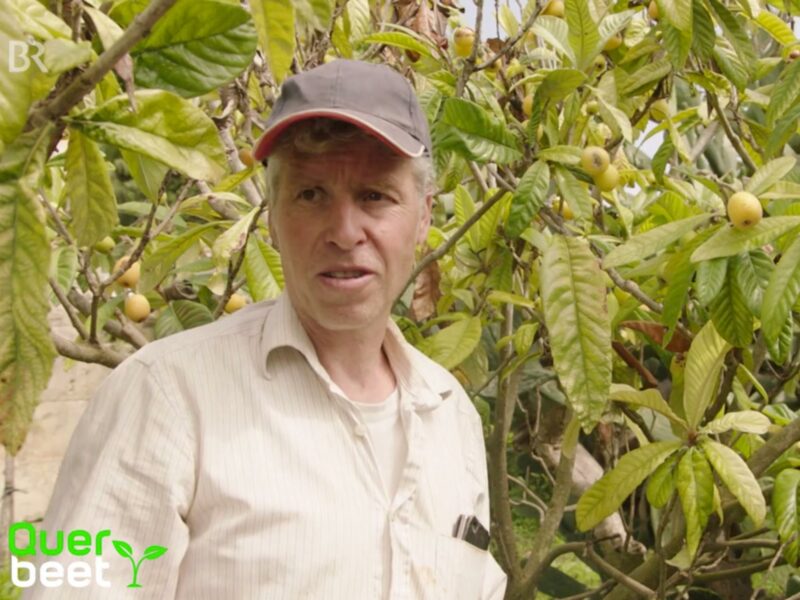 Gartensendungen: Ausschnitt aus Querbeet vom BR.