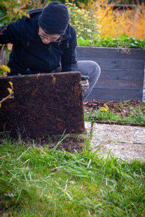 No Dig Gardening: Eine Frau schaut unter eine Holzplatte.