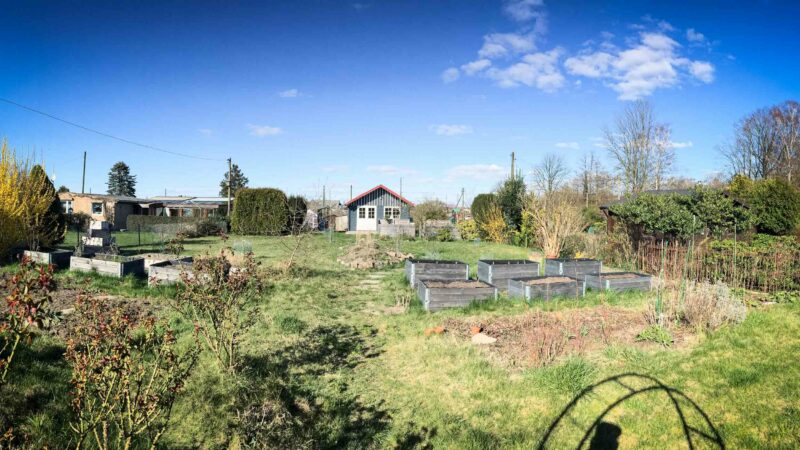 Blick in den Garten 2020 – Regnose