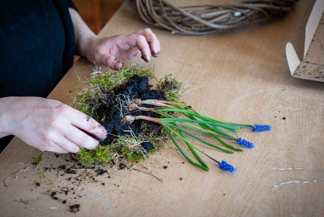 Türkranz Frühling: Eine Frau legt Perlhyazinthen auf eine Schicht Moos und Erde.