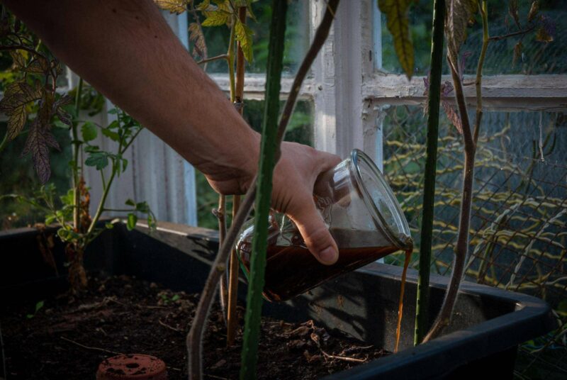 BioDuenger Kaffeesatz