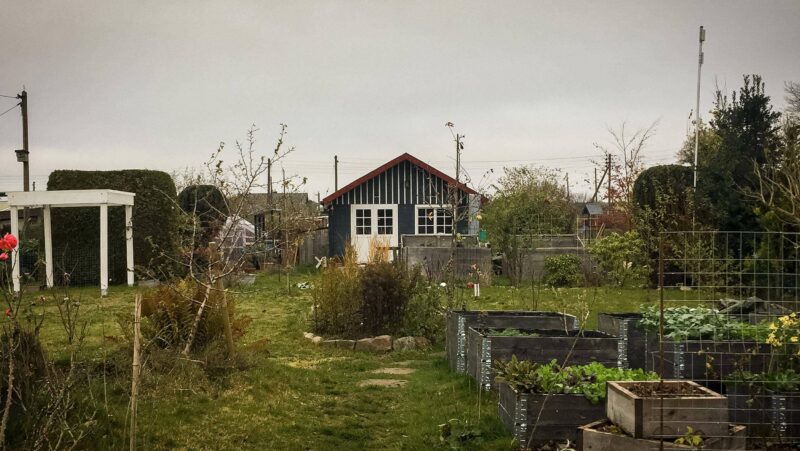 Blick in den Garten im Dezember