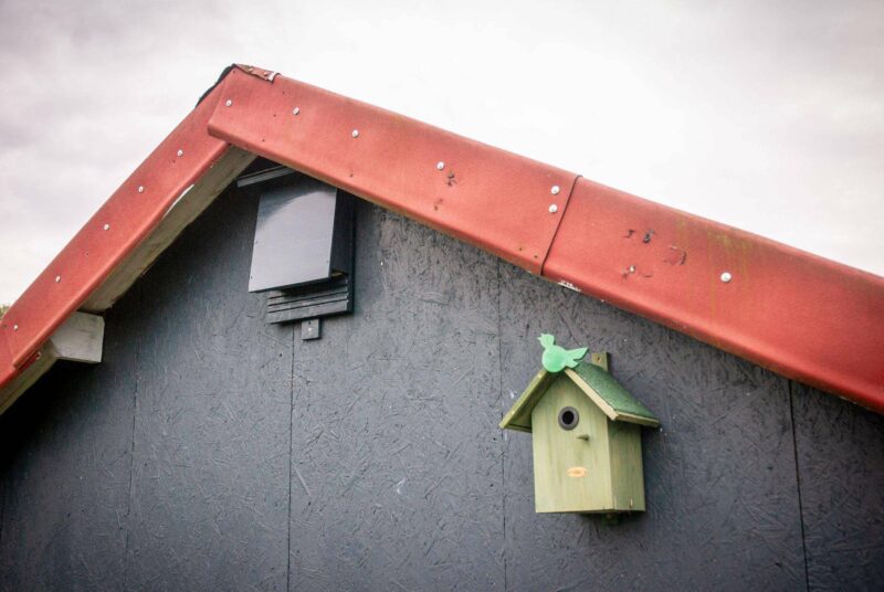 Winterquartier für Tiere: Fledermauskasten und Vogelhaus an einer Gartenlaube.