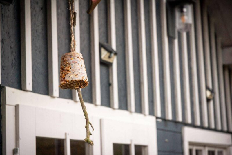 Selbst gemachter Meisenknödel vor einer Gartenlaube.