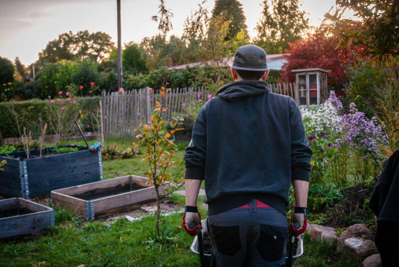 Ein Mann schiebt eine Schubkarre an verschiedenen Beeten entlang.