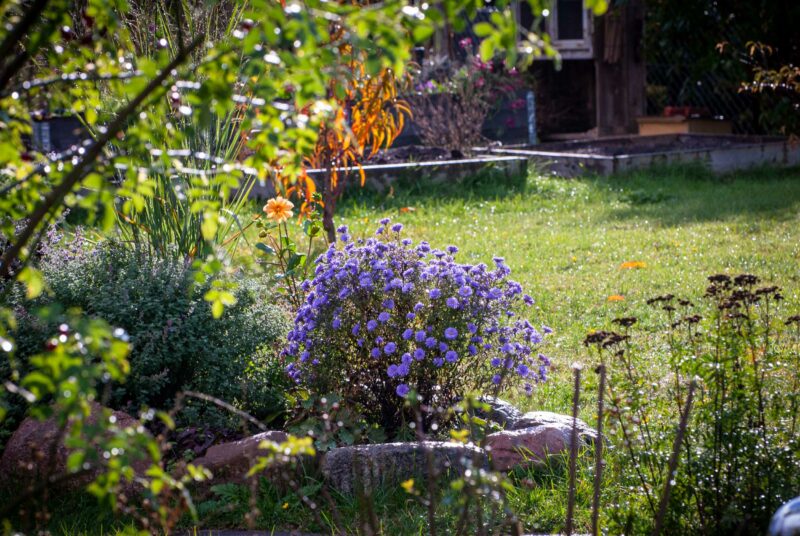 Beete gestalten: Ein Staudenbeet vor einem Gemüsebeet.