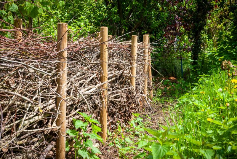 Eine Benjeshecke in einem Schrebergarten.