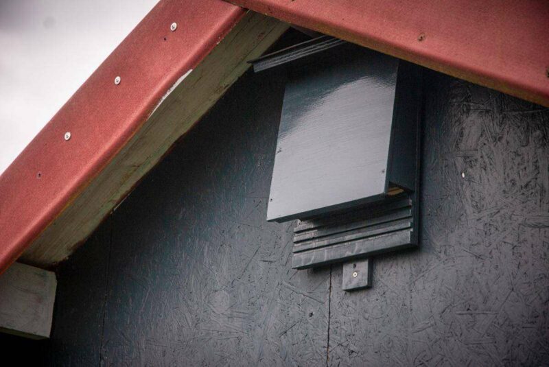 Ein Fledermauskasten hängt an einer Gartenlaube.