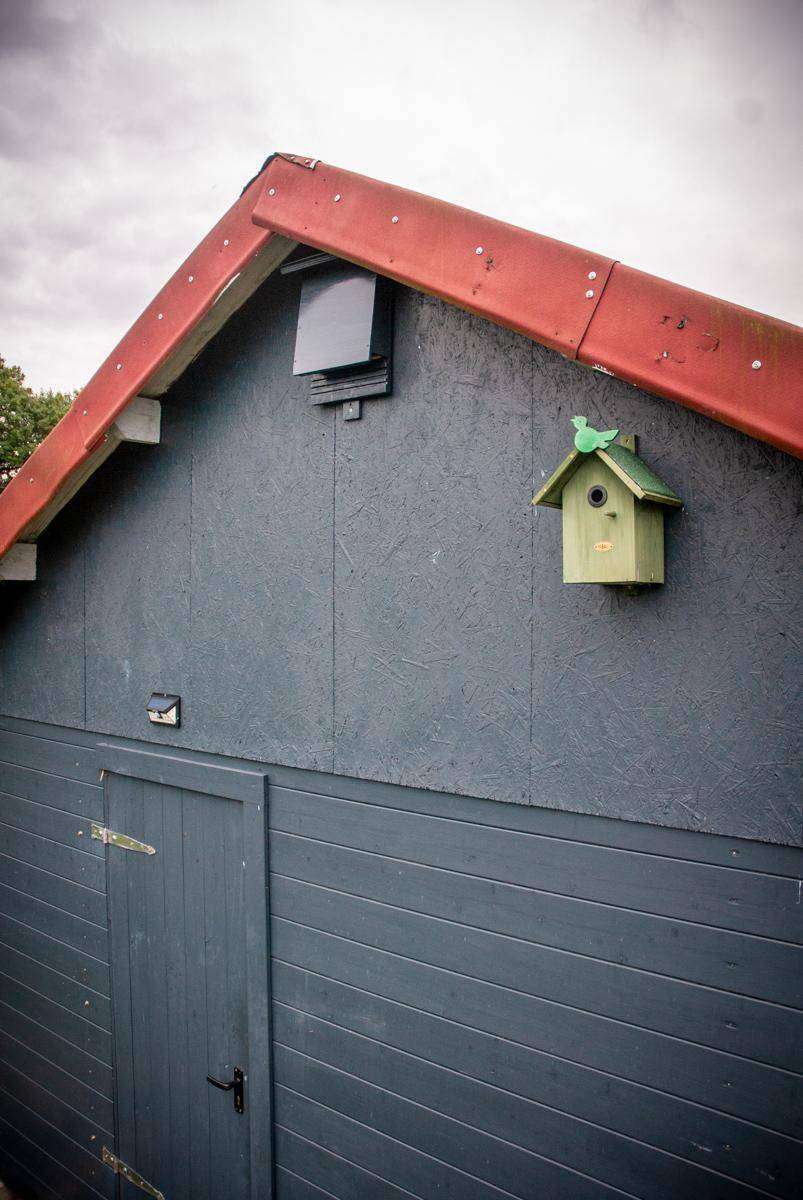 An einer Wand einer Gartenlaube hängt ein Fledermauskasten neben einem Vogelhaus.
