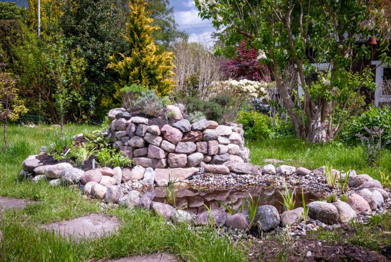 ein selbst gebauter Teich am Fuße einer Kräuterspirale.