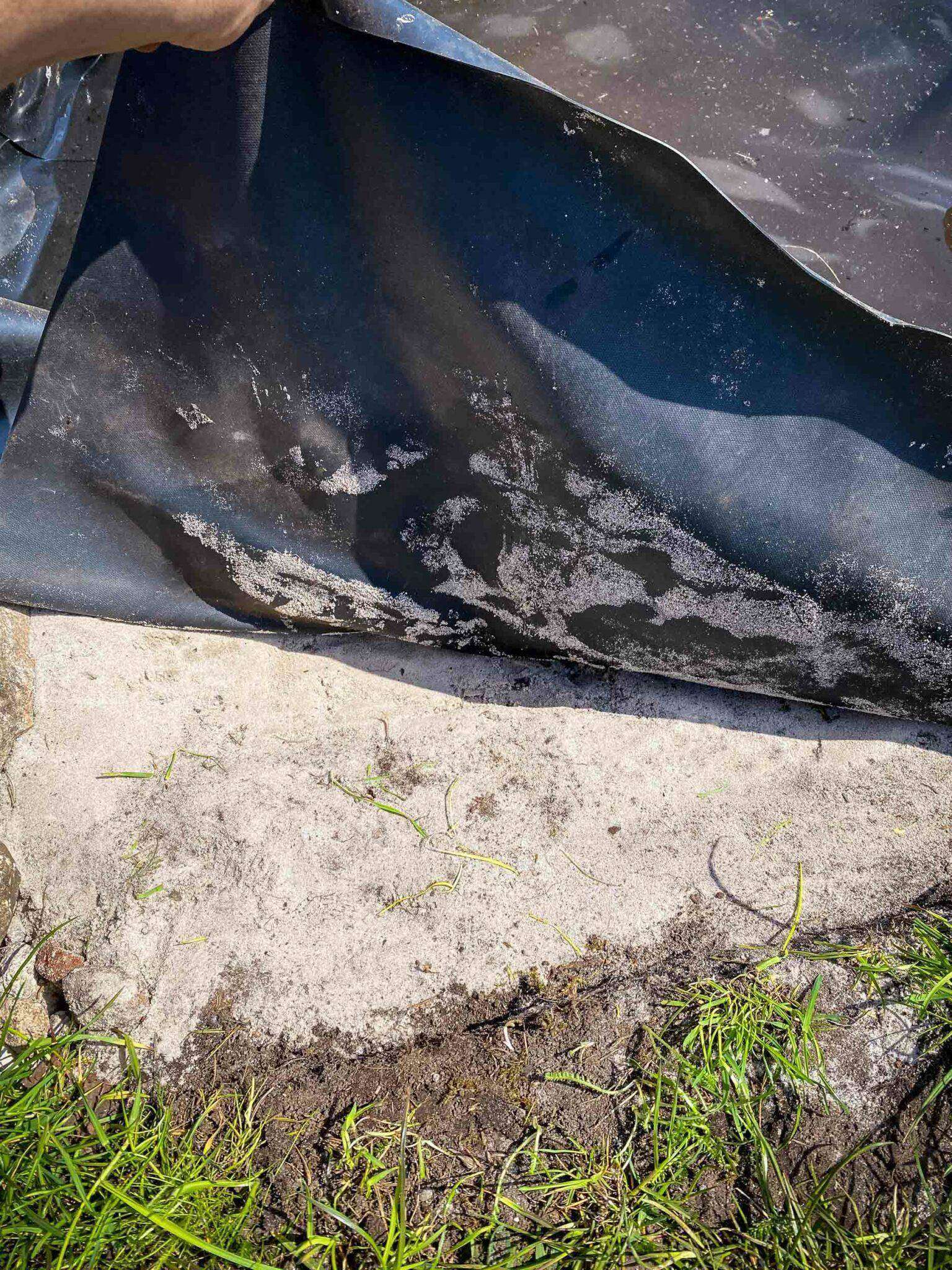 Teich selber bauen So geht