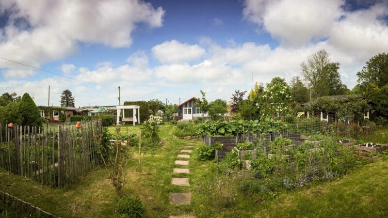 Podcast titelbild juni 2021