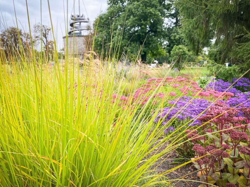BUGA 2021 Erfurt: Blick ins Klimabeet.