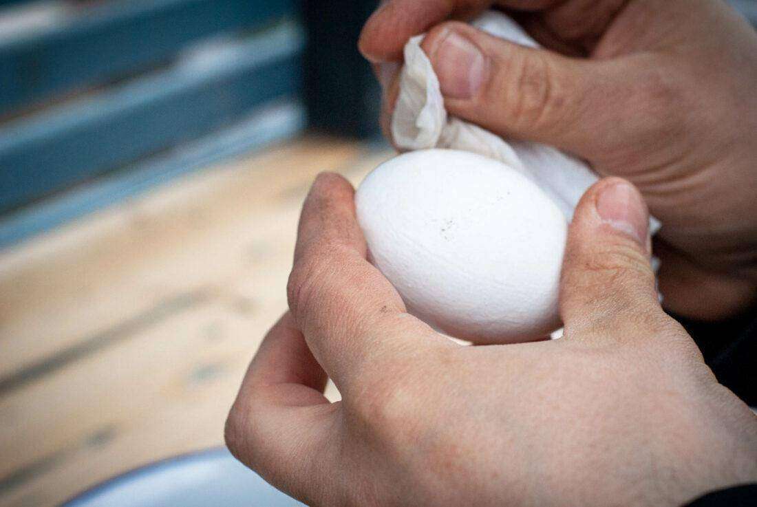 Ostereier natürlich färben Ein mann reibt Eier mit Essigwasser ab. 