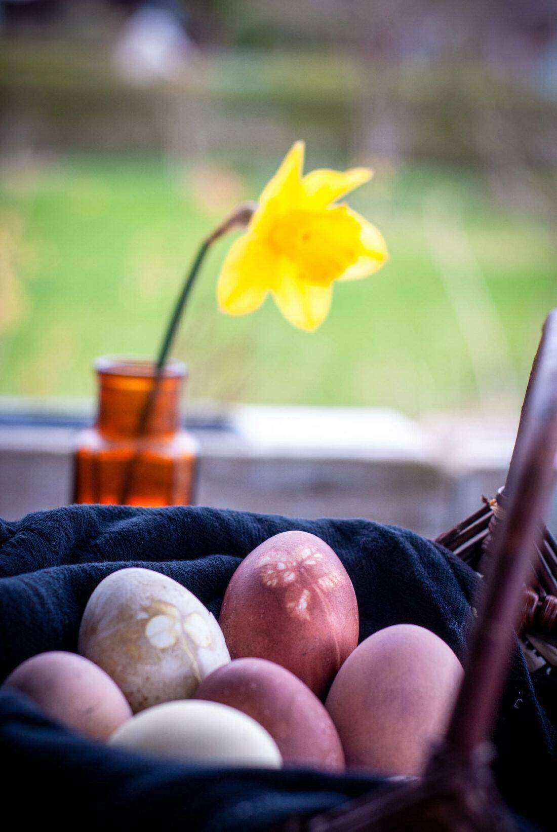 Ostereier natürlich färben: ein Korb mit Eier steht auf einem Tisch auf einer Terrasse.