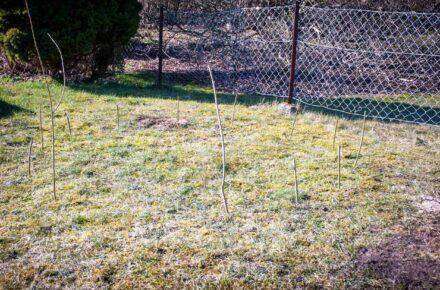 Weidentipi bauen abmessene abgesteckte Flaeche