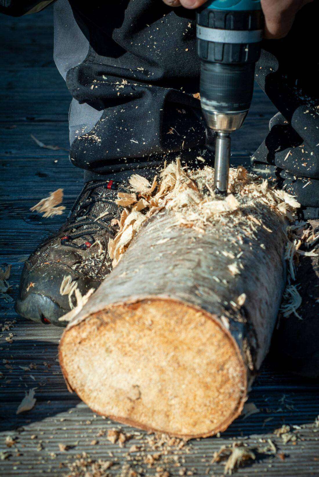 Ein Birkenholzstamm wird seitlich angebohrt. 