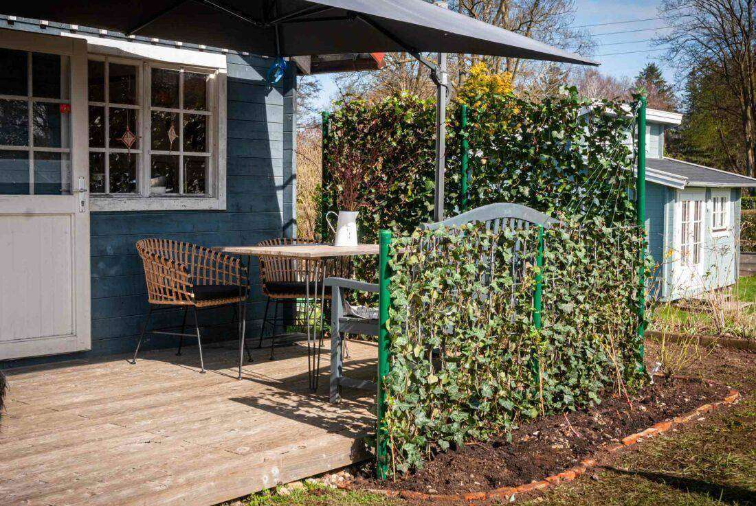 Sichtschutz Terrasse: Anblick eines lebenen Zaunes vor einer Gartenlaube. 