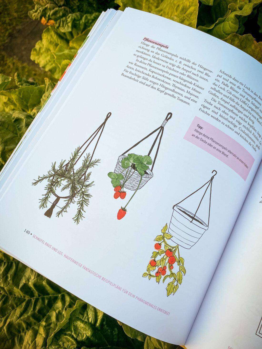 Blick ins Buch "Das phänomenale Erntebeet" von Doris Kampas.